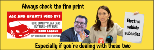 Govt Electric Car Rebates The Devil Is In The Fine Print THE 